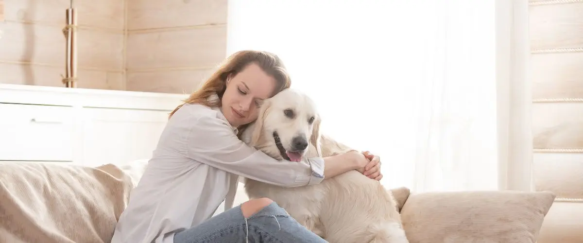 ley cremación de mascotas