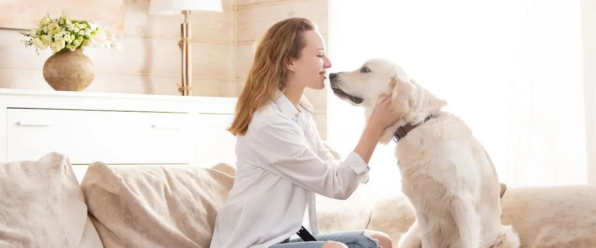 ley cremación de mascotas