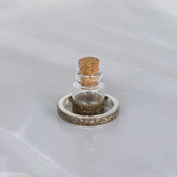 Fotos Alianza AN005 Caelum Pets anillo (7).webp