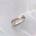 Banda cruzada AN003 (Caelum Pets) (1).webp