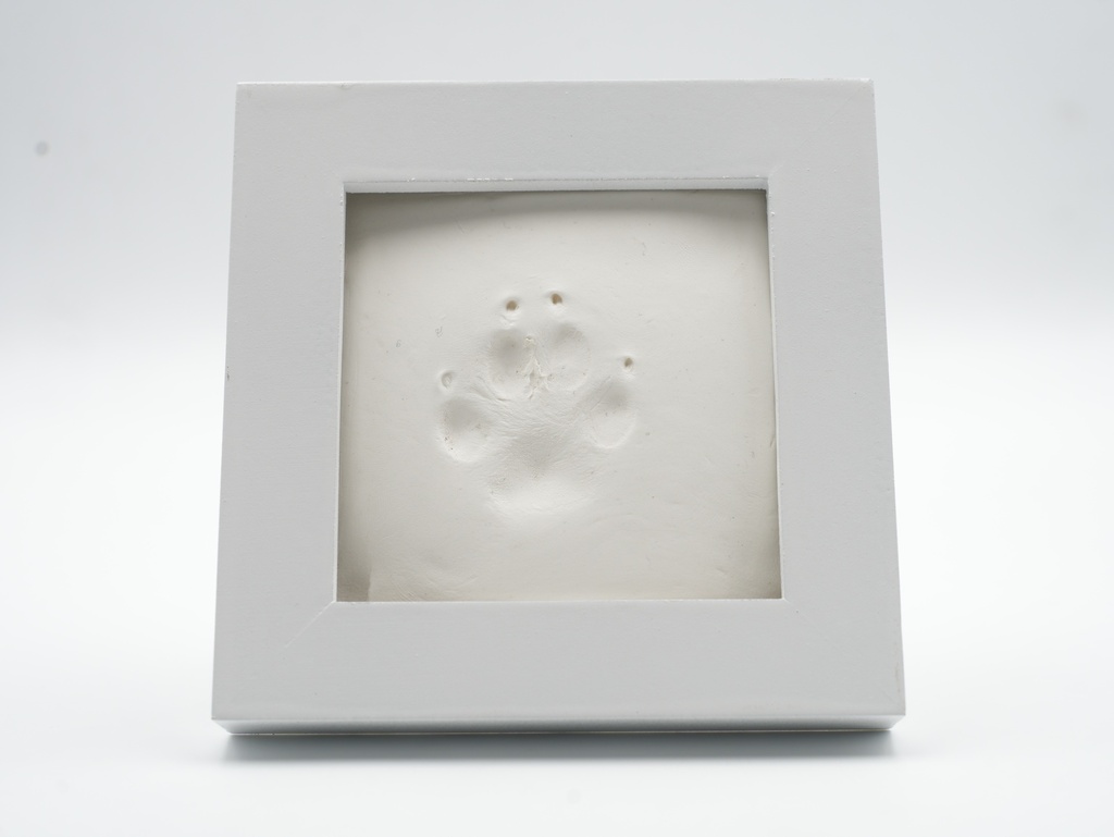 Huella conmemorativa