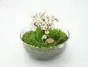 Urna para mascotas de cristal "Flor perpetua" Blanche