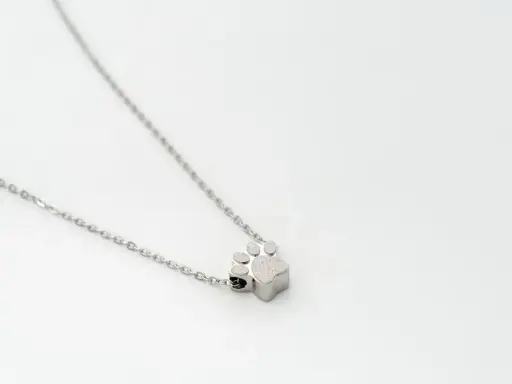 [HL-CJ902] Colgante de acero para cenizas "Huella"