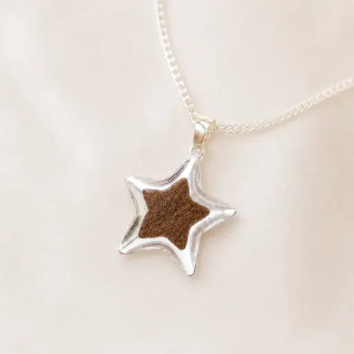 Colgante de plata de ley "Estrella" elaborado con cabello o cenizas